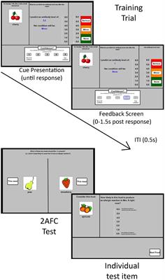 Compound Stimulus Presentation Does Not Deepen Extinction in Human Causal Learning